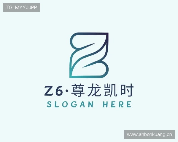 介绍Z6·尊龙凯时